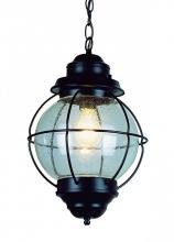  69903 RBZ - Catalina 13.5" Hanging Lantern Light